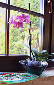 Blumentopf für Orchideen - Glasschale