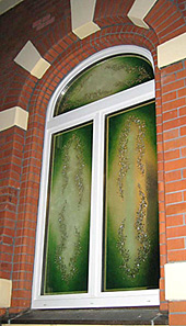 Modernes Glasfenster grün in Villa