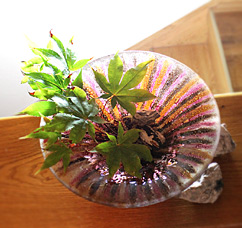 Extravagante Glasvase für Blumen und Gestecke